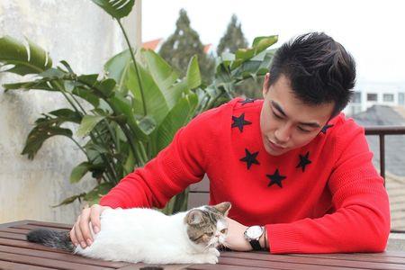 喜欢猫的男人的婚姻会怎样