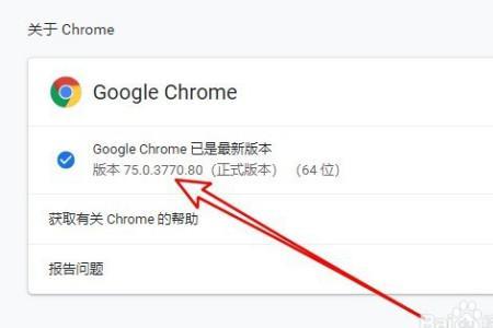 google为啥更新不了