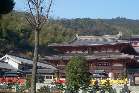 全国有多少个九龙禅寺