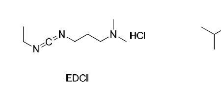 edci缩合反应机理