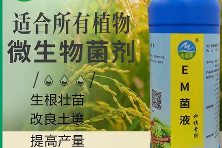 种植em菌能和杀虫剂一起用吗