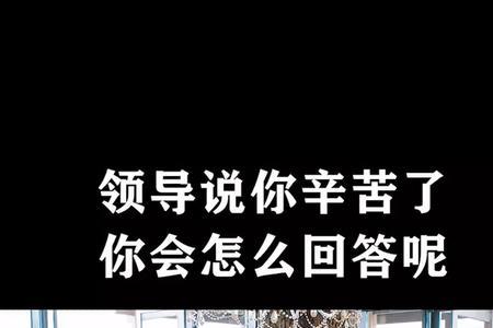 领导说防疫辛苦了如何回复