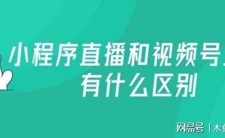 怎么区分是直播还是录像