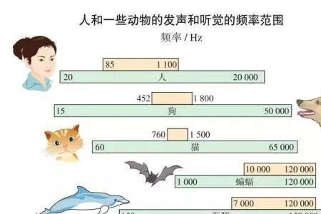 人轻声说话的频率是多少