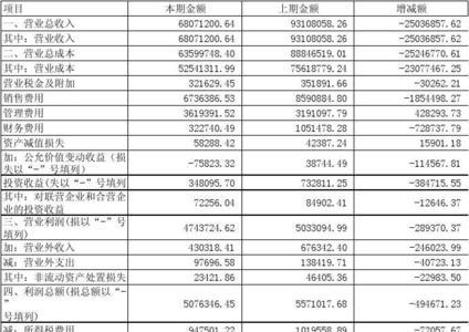 全年利润报表怎么看