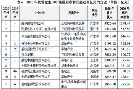 it公司的利润有多大