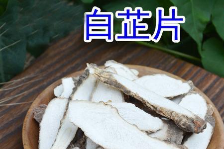 小茴香白芷是什么