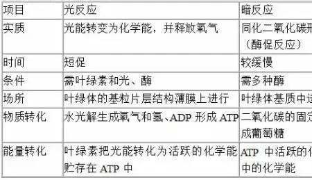 有氧呼吸和无氧呼吸区别表格