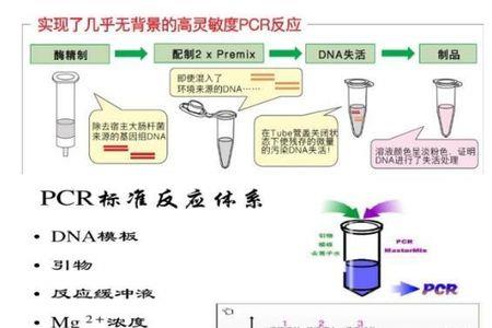 pcr是什么数值