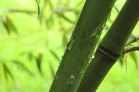 天边的雨短句