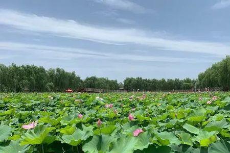 洛阳银滩门票