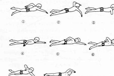 自由泳交叉手的区别和优缺点