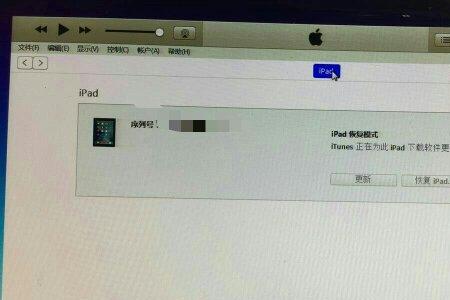 ipad出现恢复界面怎么办