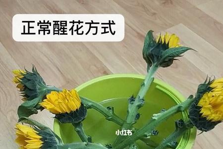 怎样醒花粉