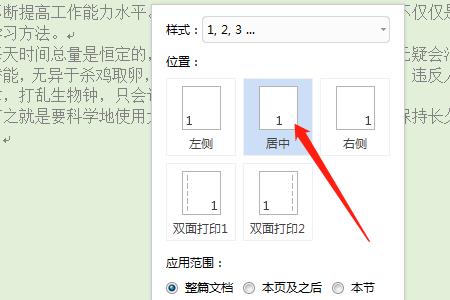 wps插入页码后为什么不显示