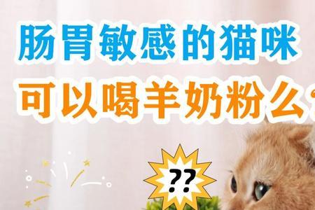 猫咪的羊奶粉人可以喝吗