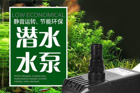 三个一鱼缸泵会吸鱼苗加生化棉