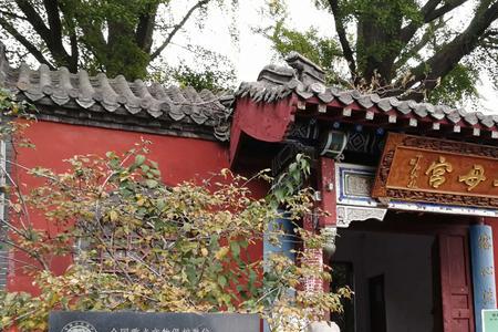 山东泰山天驹寺怎么样