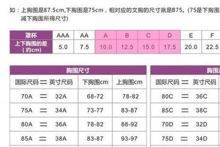 女性胸围abcde怎么区分