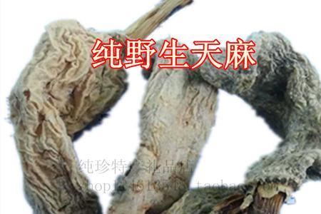 野生乌天麻和人工乌天麻的区别