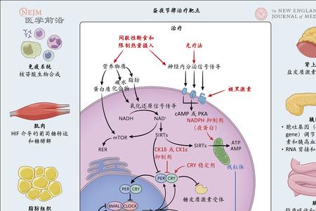 生物钟的经典语录