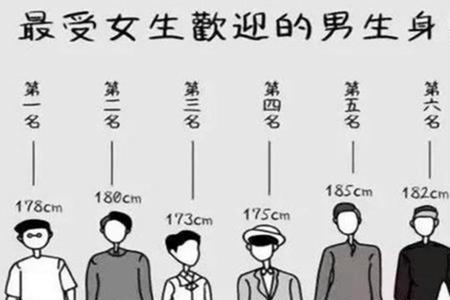 153身高标准围度