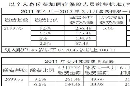 广东医疗保险缴费基数怎么填