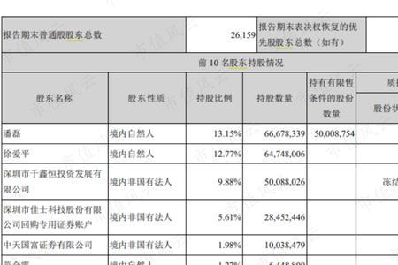 主要自然人股东持股比例是多少