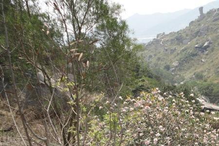 潮州登塘白水岩景区要门票吗