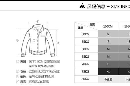 175/96A的肩宽大致是多少