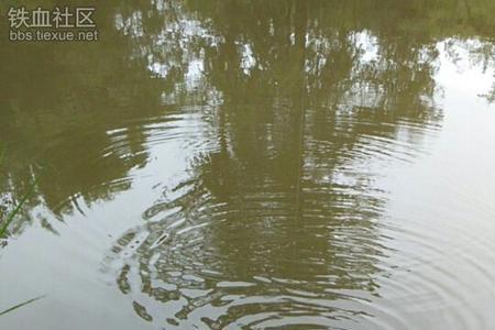 夏天连续下雨天钓鱼好钓吗