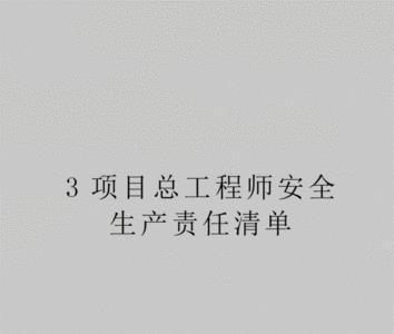 项目责任工程师是什么概念