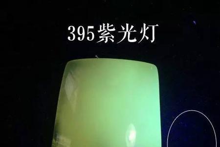 珊瑚用紫光灯有荧光吗