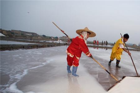 塘沽盐场的盐怎么样