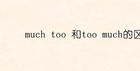 too much和very much的区别