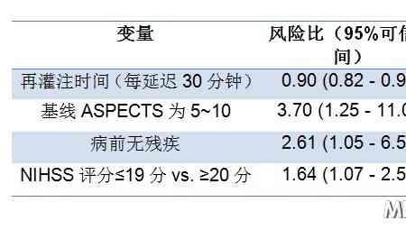 rankin量表是什么