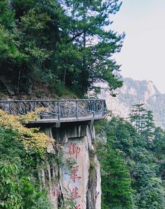 临安都林山是保护区吗