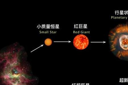 淘新星是什么