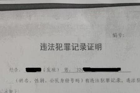 湖北怎么在手机办理无犯罪证明