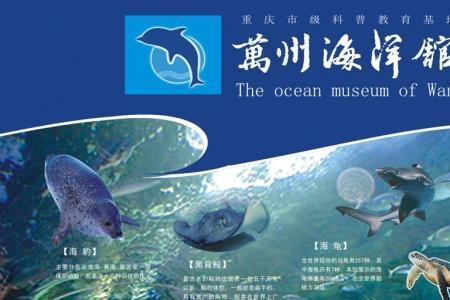 蜀都万达星空海洋馆在几楼