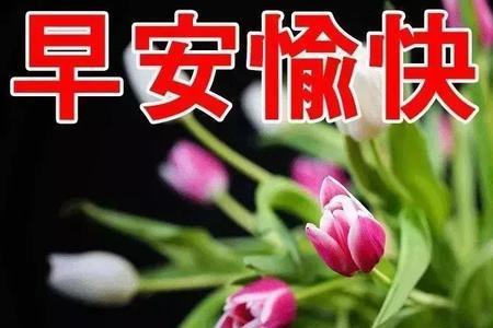 温暖祝福语简短