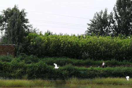 木刀沟湿地公园能钓鱼吗