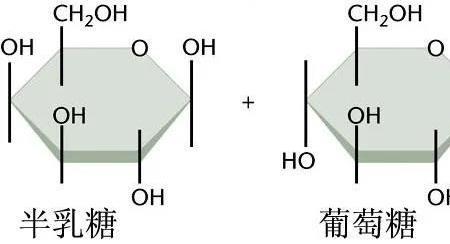 乳糖化学式