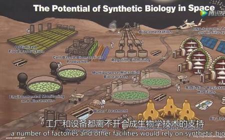 火星厂是什么意思