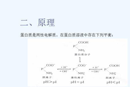 等电点大于7为什么带正电