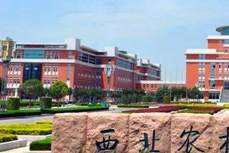 沈技大学是啥学