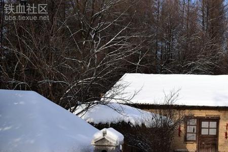 林海雪原中的莉利宫在那里