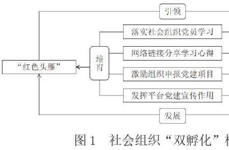 社会组织最重要的特征