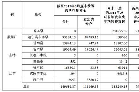 本月预算结余是什么意思