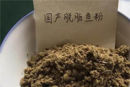 骨粉就是很臭的吗